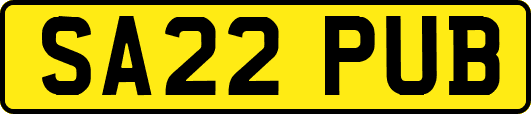 SA22PUB
