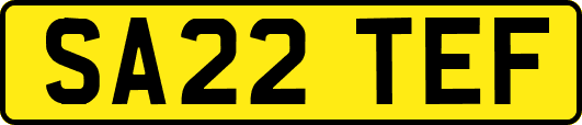 SA22TEF