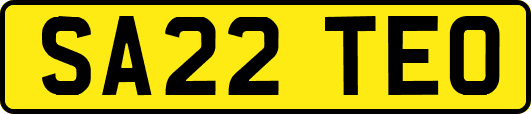 SA22TEO