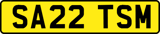 SA22TSM