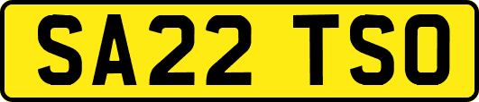SA22TSO