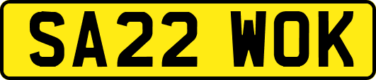 SA22WOK