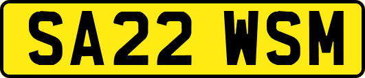 SA22WSM