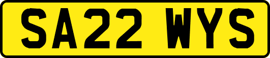 SA22WYS