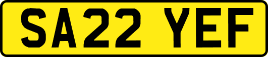 SA22YEF