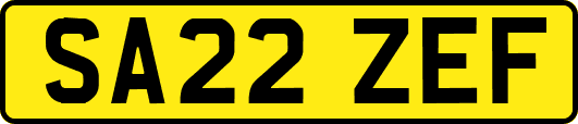 SA22ZEF