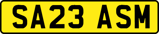 SA23ASM