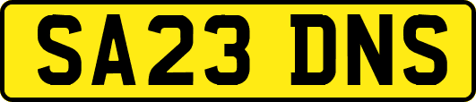 SA23DNS