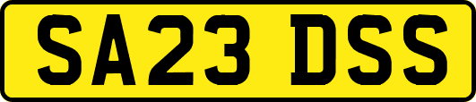 SA23DSS