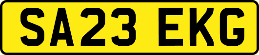 SA23EKG