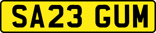 SA23GUM