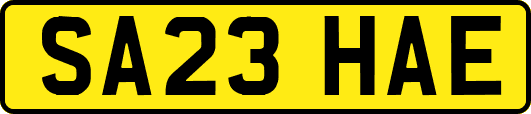 SA23HAE