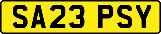 SA23PSY