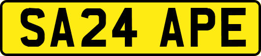 SA24APE