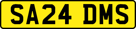 SA24DMS