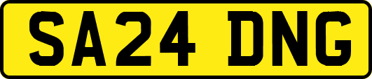 SA24DNG