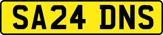 SA24DNS