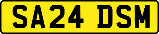SA24DSM