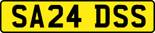 SA24DSS