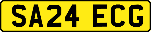 SA24ECG