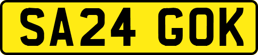 SA24GOK