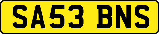 SA53BNS