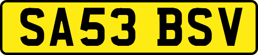 SA53BSV