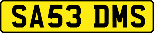 SA53DMS