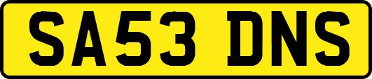 SA53DNS