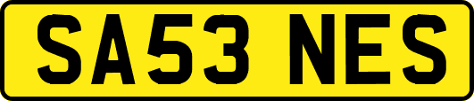 SA53NES