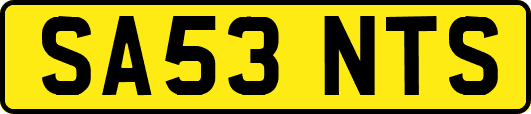 SA53NTS