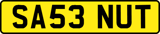 SA53NUT