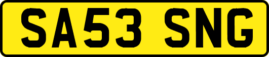 SA53SNG