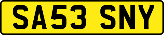 SA53SNY