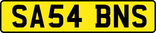 SA54BNS