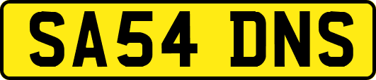 SA54DNS