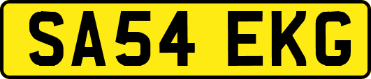 SA54EKG