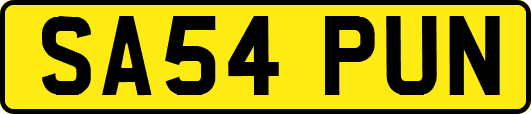 SA54PUN