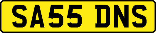 SA55DNS