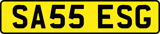 SA55ESG