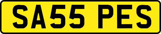 SA55PES