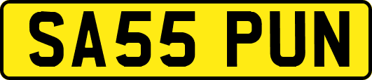 SA55PUN