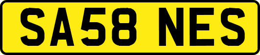 SA58NES