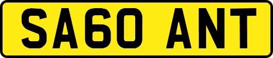 SA60ANT