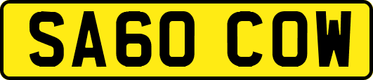 SA60COW