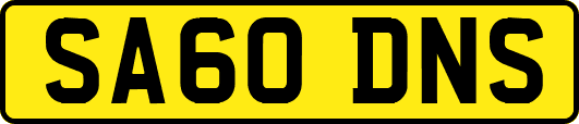 SA60DNS