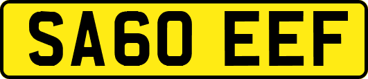 SA60EEF