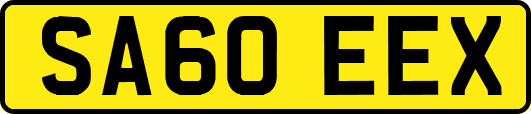 SA60EEX