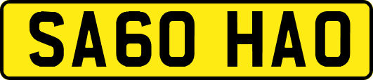 SA60HAO