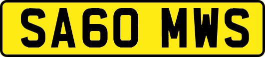 SA60MWS